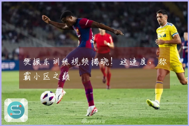樊振东训练视频揭晓！这速度，称霸小区之巅