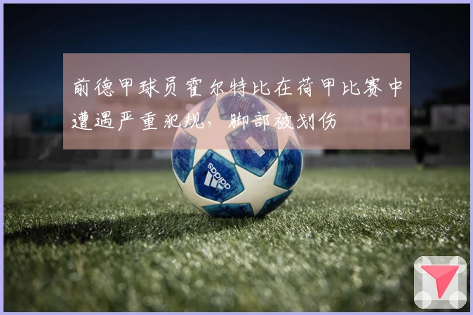 前德甲球员霍尔特比在荷甲比赛中遭遇严重犯规，脚部被划伤