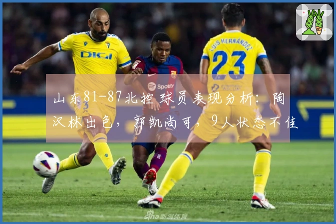 山东81-87北控 球员表现分析：陶汉林出色，郭凯尚可，9人状态不佳