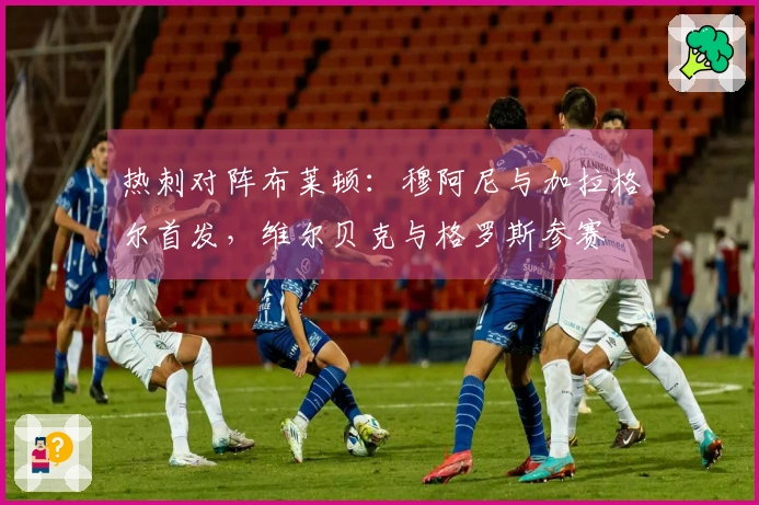 热刺对阵布莱顿：穆阿尼与加拉格尔首发，维尔贝克与格罗斯参赛