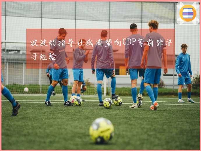 波波的指导让我渴望向GDP等前辈学习经验