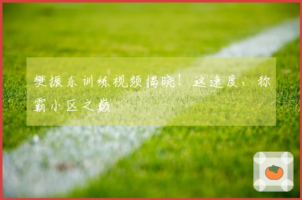 樊振东训练视频揭晓！这速度，称霸小区之巅